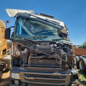 2015 SCANIA G460 (BLM)