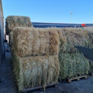 23 x Oat Hay Bales (PLZ)